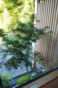 モデルルーム「branch」とは?