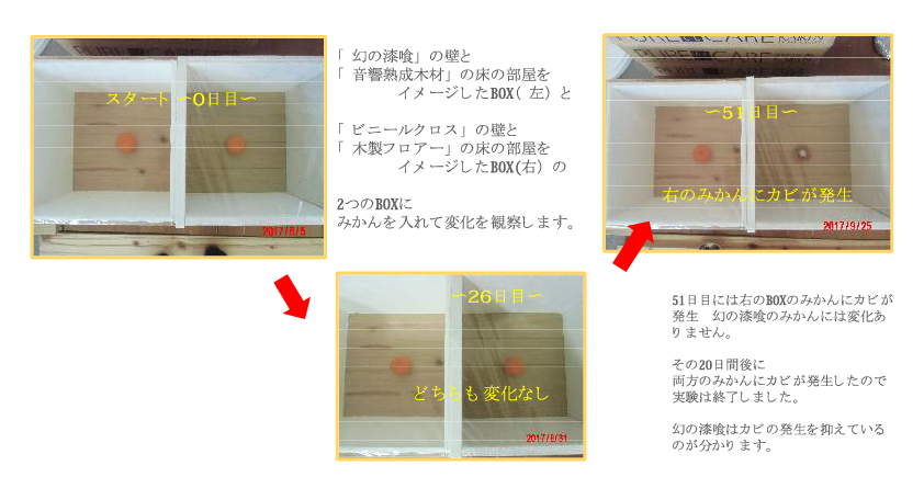 みかんの腐食の実験